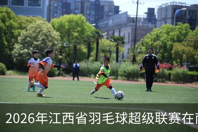 2026年江西省羽毛球超级联赛在南昌收官